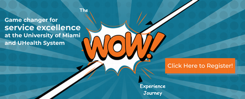 The WOW Experience