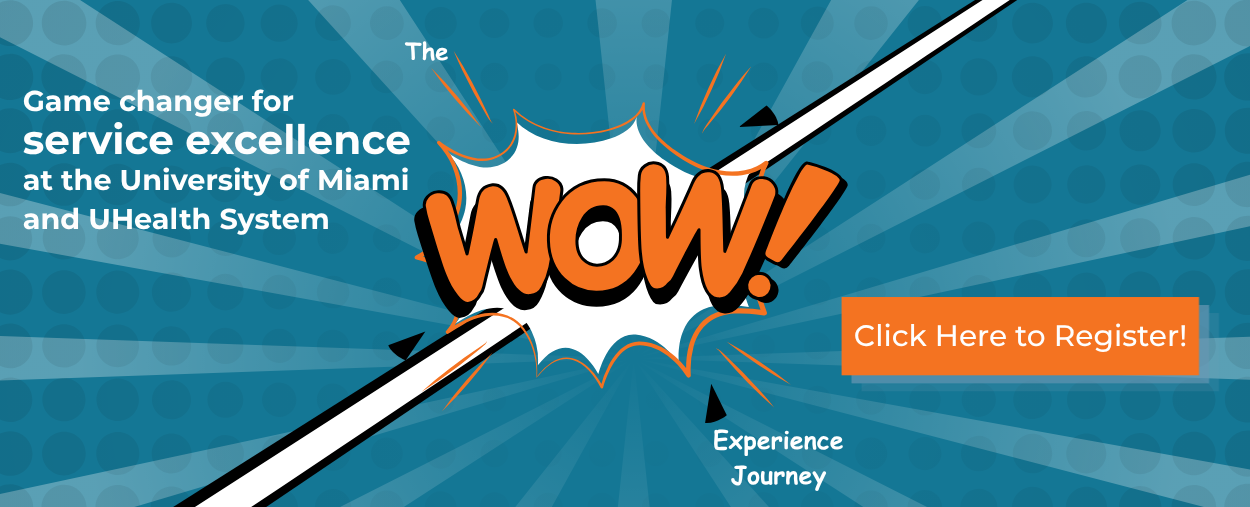 The WOW Experience